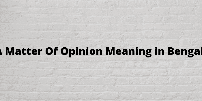 a matter of opinion