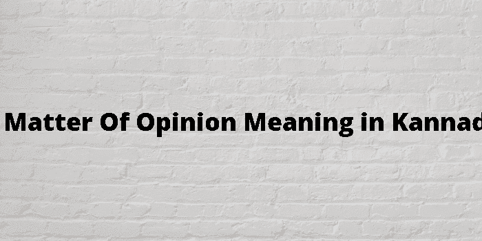 a matter of opinion