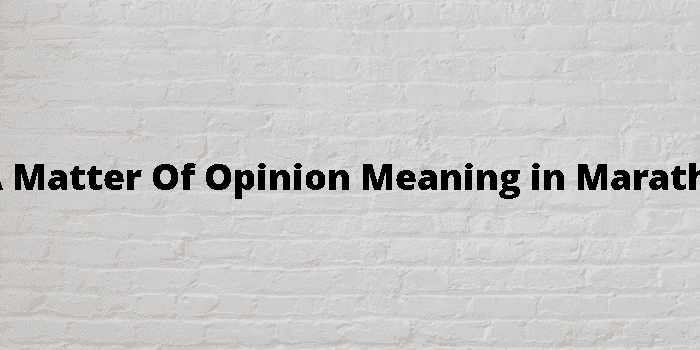 a matter of opinion