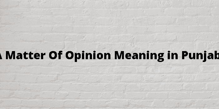 a matter of opinion