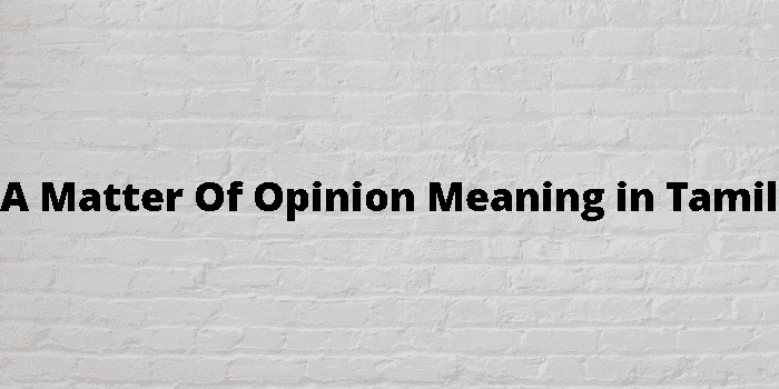 a matter of opinion