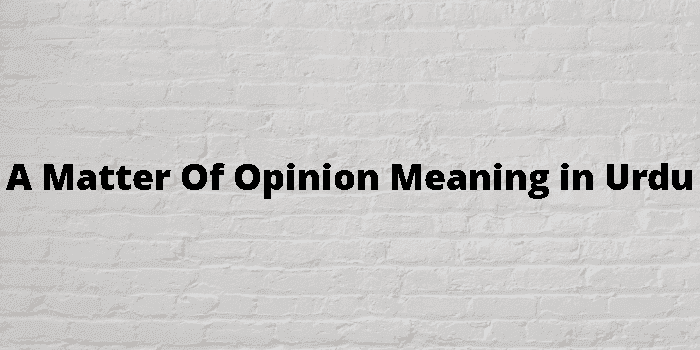 a matter of opinion