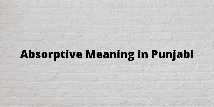 absorptive