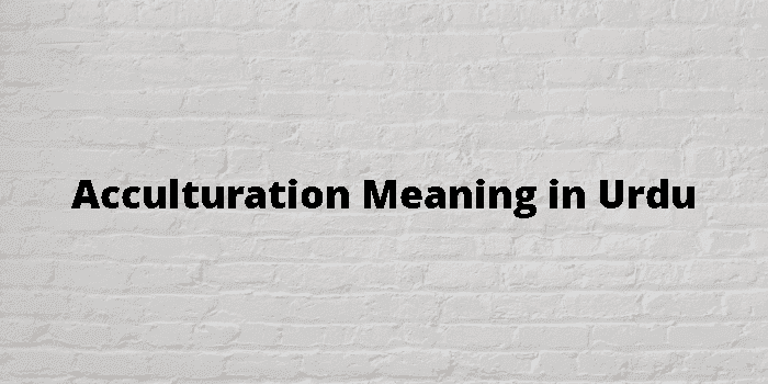 acculturation