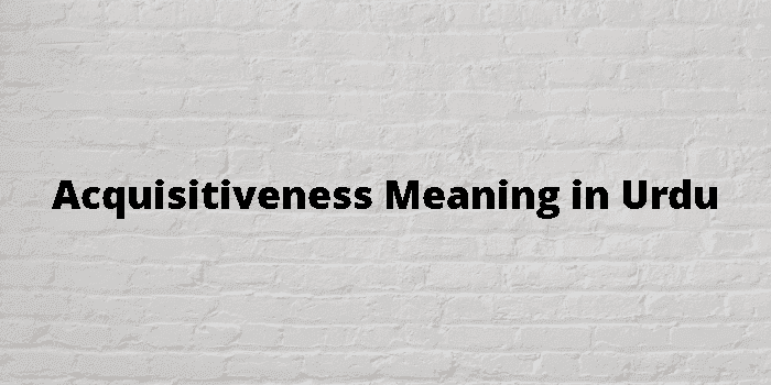 acquisitiveness