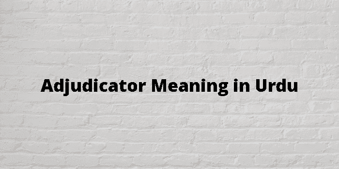 adjudicator