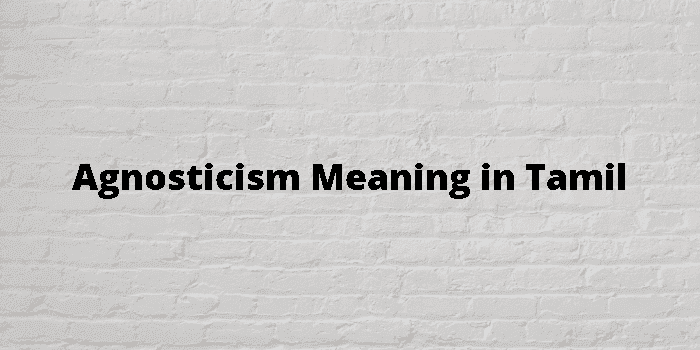 agnosticism