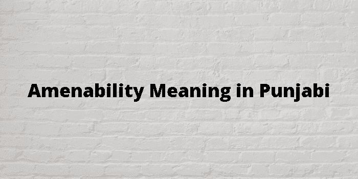 amenability