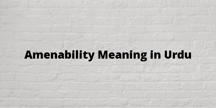 amenability