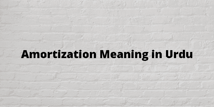 amortization