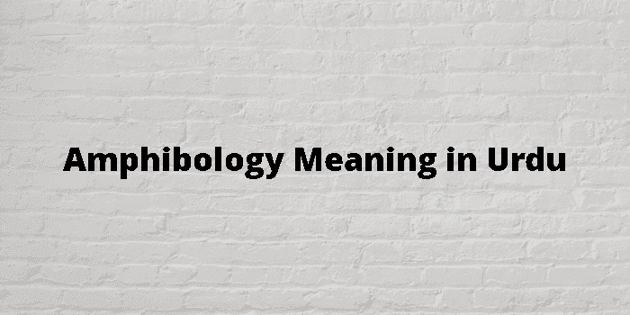 amphibology