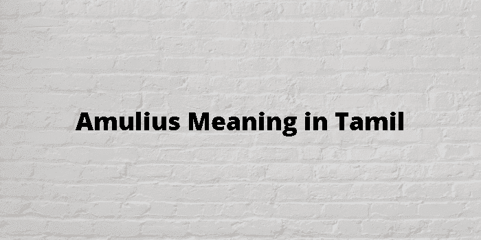 amulius