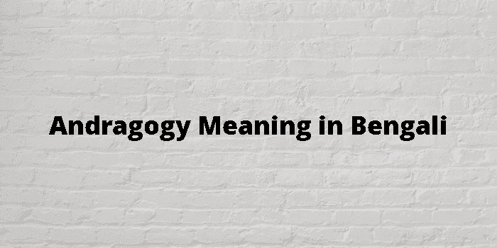 andragogy