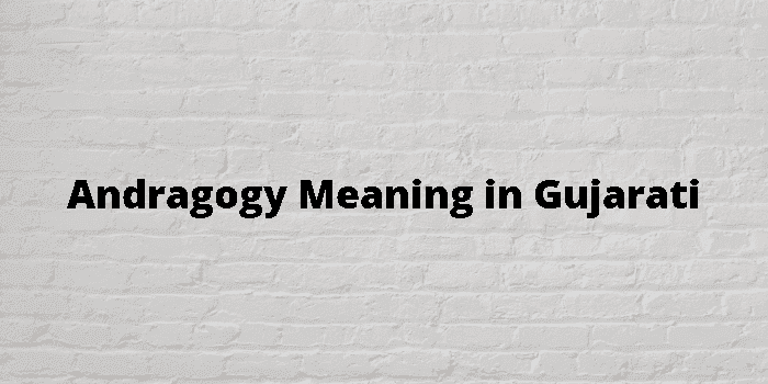 andragogy