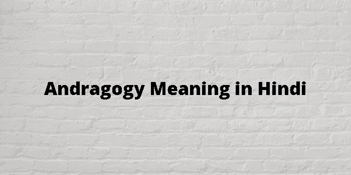 andragogy