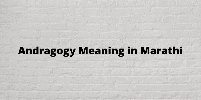 andragogy