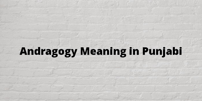 andragogy