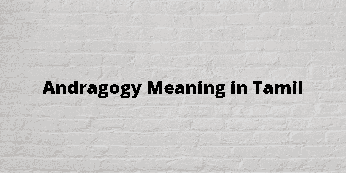 andragogy