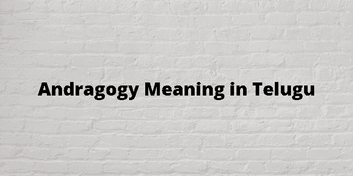 andragogy