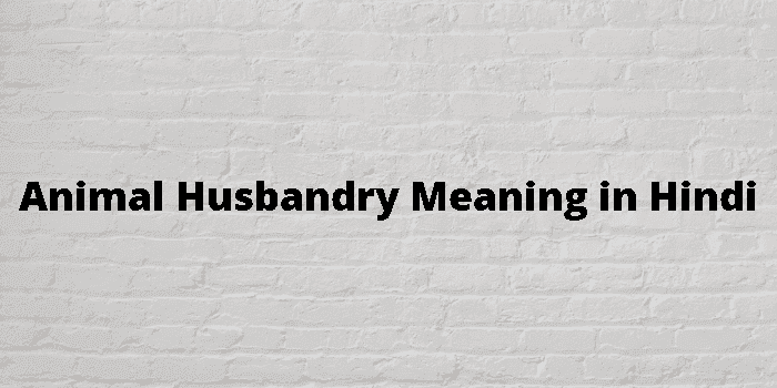 animal husbandry