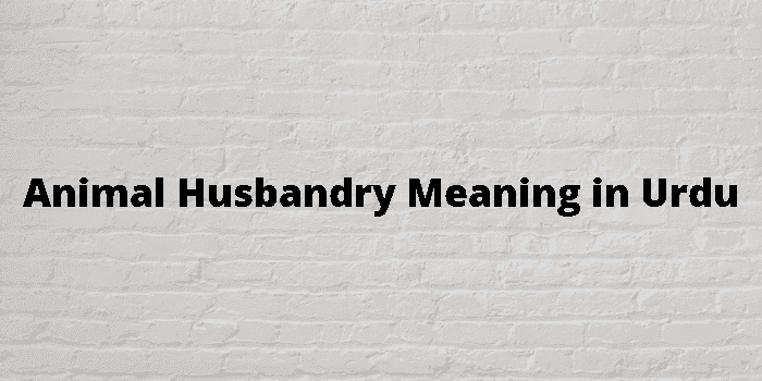 animal husbandry