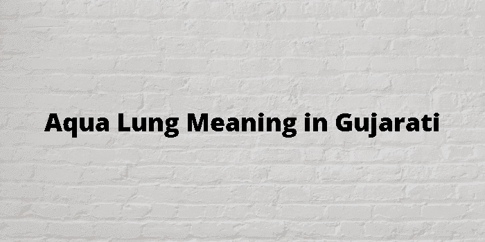 aqua lung