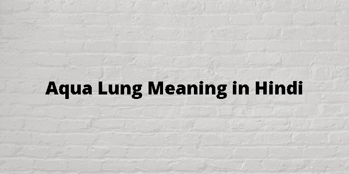 aqua lung
