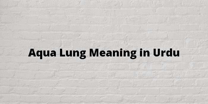 aqua lung