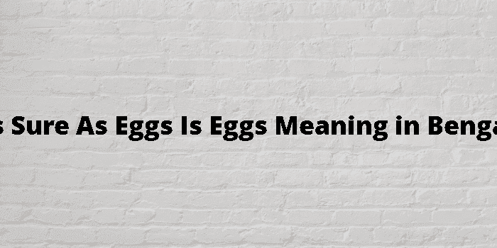 as sure as eggs is eggs