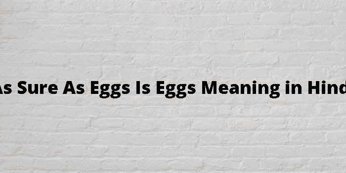 as sure as eggs is eggs