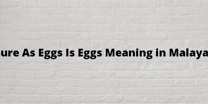 as sure as eggs is eggs