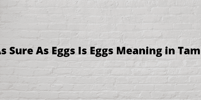 as sure as eggs is eggs