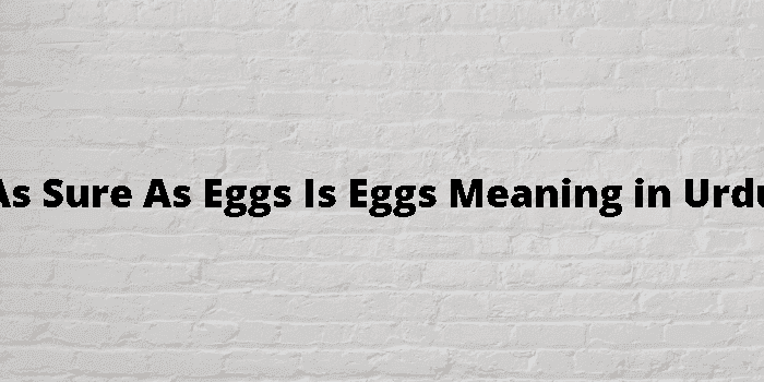 as sure as eggs is eggs