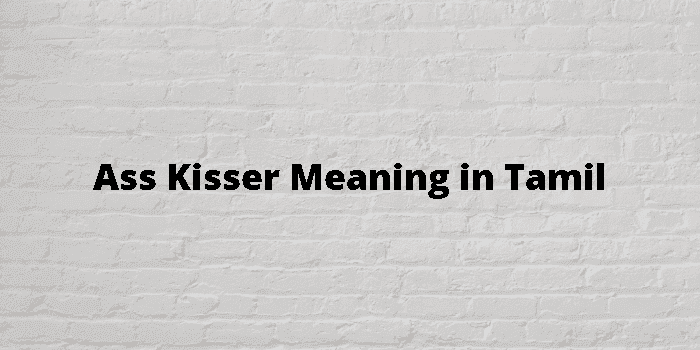 ass kisser