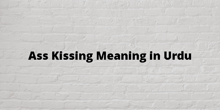ass kissing