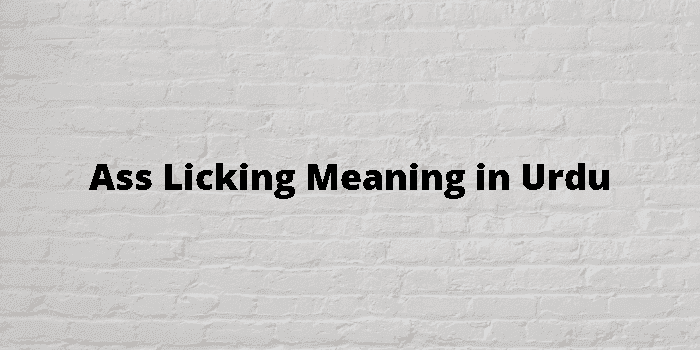 ass licking