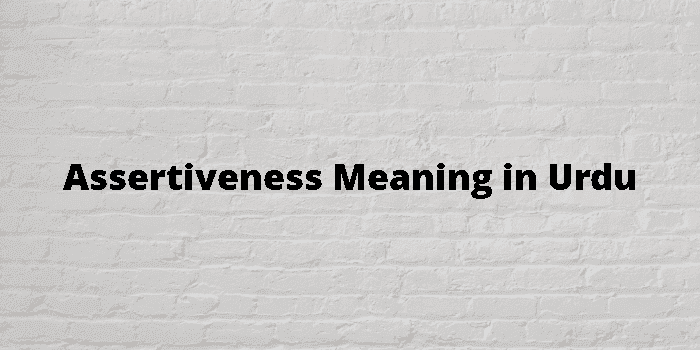 assertiveness