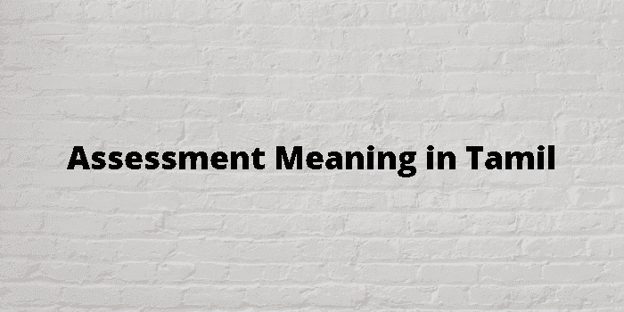 assessment