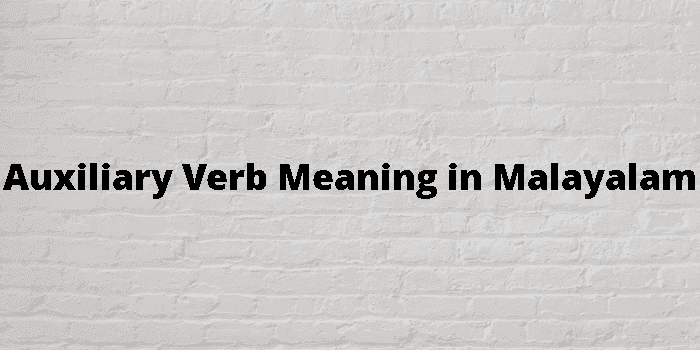 auxiliary verb