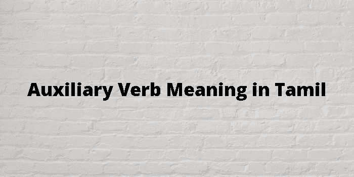 auxiliary verb