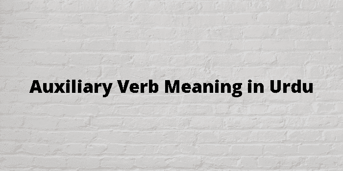 auxiliary verb