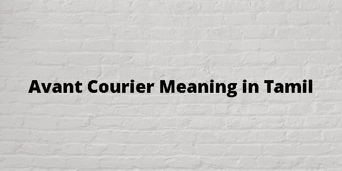 avant courier