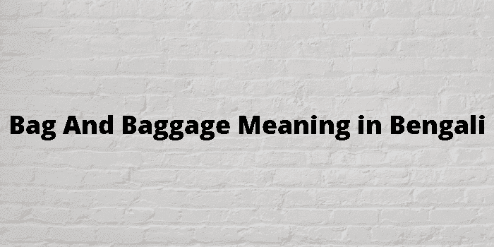 bag and baggage