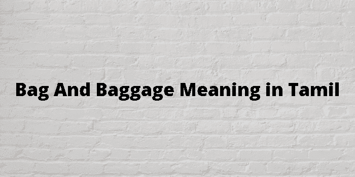 bag and baggage