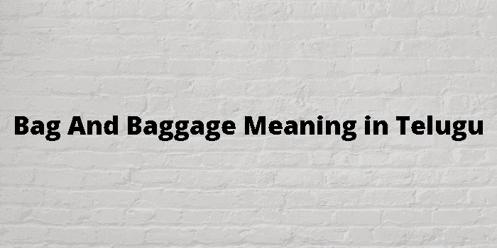 bag and baggage