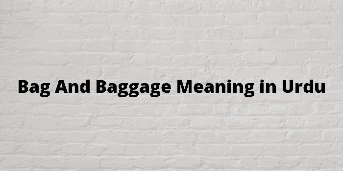 bag and baggage