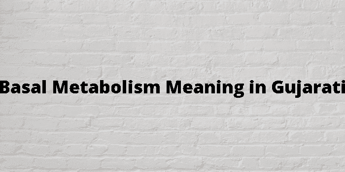 basal metabolism