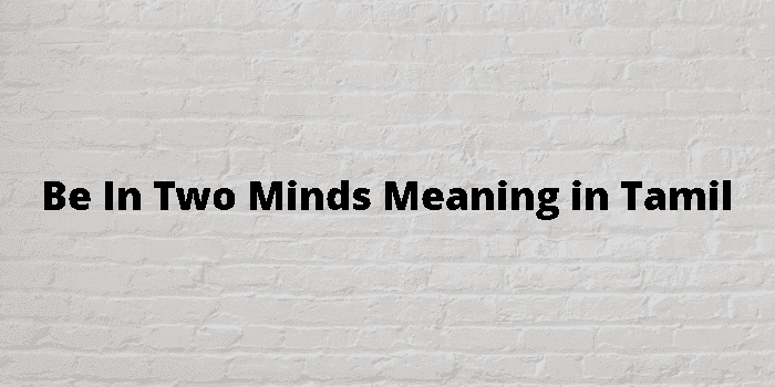 be in two minds