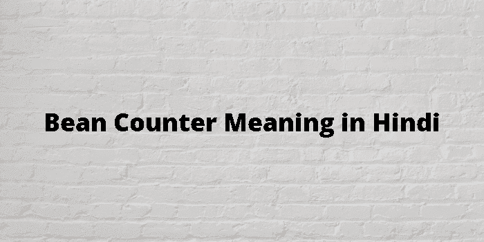 bean-counter-meaning-in-hindi