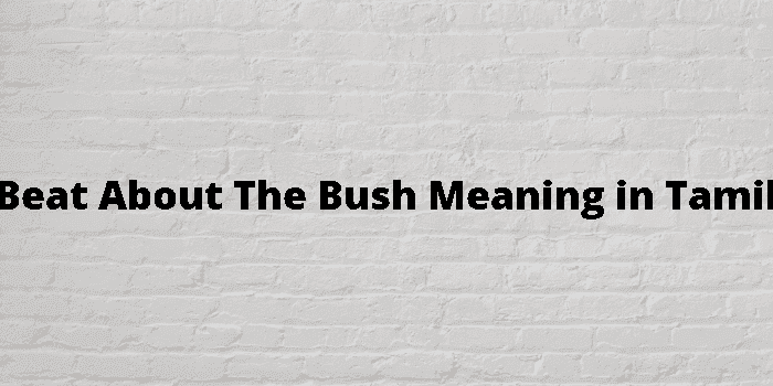 beat about the bush